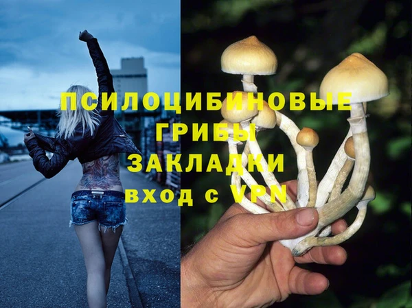 бутират Арсеньев